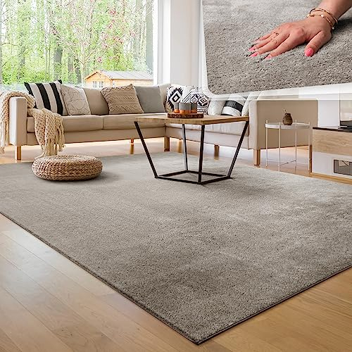 Paco Home Tappeto Moderno e Morbido per Soggiorno a Pelo Corto Lavabile Fluffy Uni Effetto Pelliccia Senza Tempo Elegante Antiscivolo Facile da Pulire, Dimensione:60x100 cm, Colore:Grigio