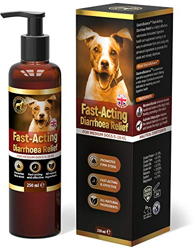 GastroBalance Hund durchfall Stop - Schnell wirkende natürliche Hund durchfall behandlung für kleine Hunde < 10 kg (English)