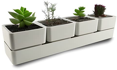 ECOMACETAS FLOWERPOT STORE Macetas Suculentas con 4 recipientes, Macetas pequeñas, Mini macetas de 6 Colores Distintos, con Orificios de Drenaje y Bandeja Incluido. (Blanco, 1)