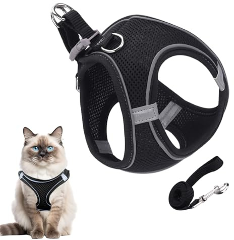 Ausbruchssicheres Katzengeschirr - Katzengeschirr mit Leine - Größen S M L Für Wanderungen Training Reisen Outdoor