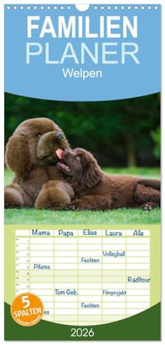 Familienplaner 2026 - Welpen 2026 mit 5 Spalten (Wandkalender, 21 cm x 45 cm), CALVENDO: 13 bezaubernde Welpenfotos begleiten uns durch das Jahr 2014 (CALVENDO Tiere)