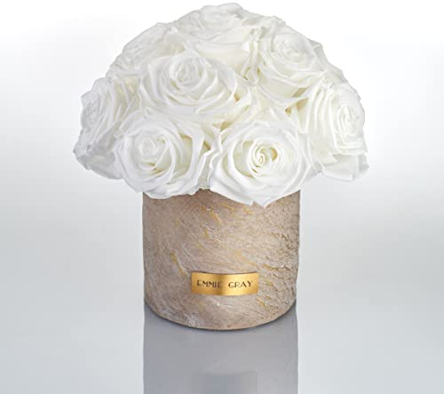 Solid Infinity Collection Golden Sand - Traumhafte Infinity Rosen, 1-3 Jahre haltbare Rosen, Betonvase mit echten, konservierten Rosen, edle Premiumrosen - Größe S (Pure White)