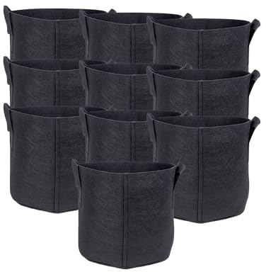 INTIRILIFE 10x Pflanzsack aus Vlies Stoff 11 Liter -3 Gallon- 25 x 22 cm - Pflanzen Übertopf mit Tragegriffen für Garten, Gewächshaus - Pflanzkübel Pflanzgefäß Pflanzbeutel Pflanztasche Kartoffelsack