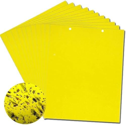 Jaune Sticky Fly pièges, Sticky Fly Anti-Gouttes Dual-Side pour Insectes Contre Les moisissures Les moustiques, Les chenilles, Les pucerons, Leafminers, (15,2 x 20,3 cm, Twist Ties Inclus) 20-Pack