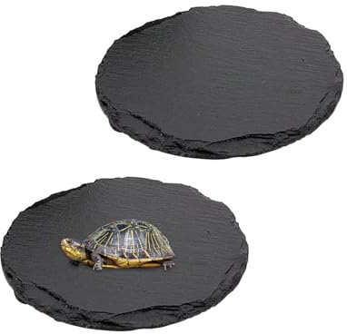 2 pezzi Piattaforme rettili per tartarughe Diametro 15 cm Ciotola per mangime in pietra naturale Piattaforma per Tartaruga, Lucertola, Drago barba, Geco