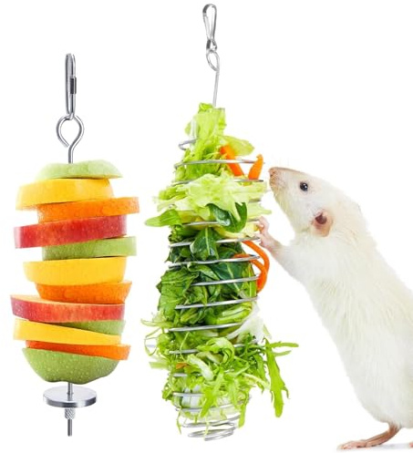 Jevnd 2Pcs Rat Enrichment Toys, 304 Stainless Steel Rat Foraging Toy for Fruit Vegetable Holder, Fancy Mice Cage Accessories Puzzle Toy, Hanging Rodent Toys Slow Feeder, Bird Foraging for Parakeet