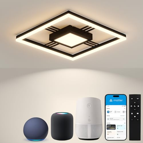 Sky angle Smart Deckenlampe mit Fernbedienung, Matter Kompatibel mit Alexa & Google Home, Dimmbar 3000K-6000K, Flush Mount für Schlafzimmer Wohnzimmer Arbeitszimmer Badezimmer