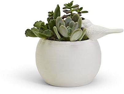 Two's Company Sitting Pretty Bird Vase/Cachepot