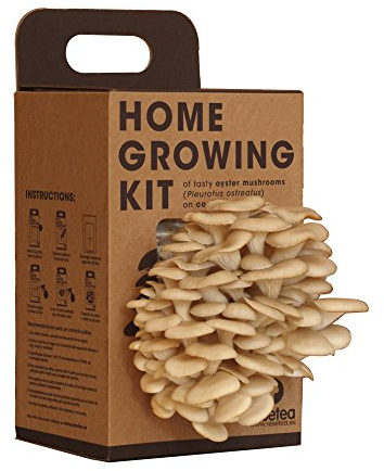 Kit Coltivazione Funghi a Casa – Coltiva Funghi Ostrica Freschi in 15 Giorni | Regalo Originale per Foodies, Chef e Amanti della Cucina | Facile e Divertente | Resetea