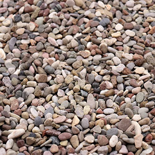 Premium Pebbles Rocas para plantas. Piedras de colores mezclados negro/tierra. 1/5 pulgadas - 10 libras para jardín, manualidades, suculentas, macetas, plantas (mini (0.2 pulgadas), color mixto -