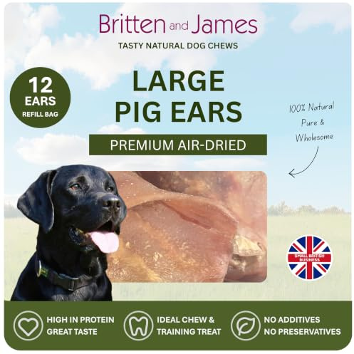 12 Large Pigs Ears for Dogs (Refill Bag) by Britten and James
