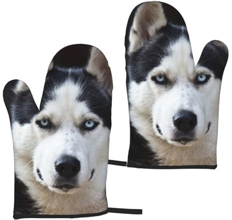 Il bel muso dell'husky è un cane divertente, Guanti da cucina Guanti da forno antiscivolo, Guanti da forno resistenti al calore Un paio