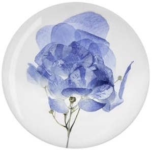 NouvoCrescent Real Blue Hydrangea Paperweight - Home Decor Crystal Resin Ball 3.14in (80mm) - Clear Blue Hydrangea Flower Globe for Special Days - Sphere Figurine Office Paperweight w/Flat Bottom