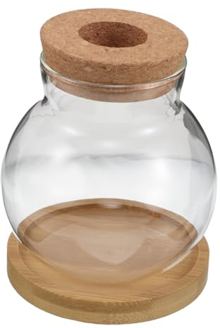 BESPORTBLE 2sets Hydroponic Plant Bottle Glass Terrariums for Plants Bamboo Tray Desktop Planter Water Pot for Office and Home Decor