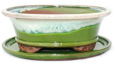 exotenherz Bonsai-Schale mit Unterteller Gr. 4 Sonderglasur mit edlem Farbverlauf-Effekt oval 09 hellgrün-beige L 25,5cm B 21cm H 9cm