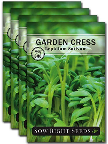 Sow Right Seeds - Garden Cress Seed for Planting Kitchen Herb Garden 4pk