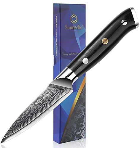 Sunnecko Damascus Paring Knife 3.5 inch, Sharp Fruit Knife with VG10 Damascus Steel Blade, Small Kitchen Knives with G10 Handle Utility Knife