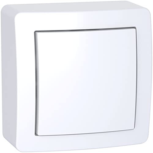 Schneider Electric - Alréa, Interrupteur simple allumage avec cadre saillie blanc polaire - ALB62050P