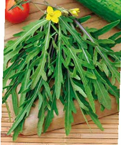 5g / 1500 Semi di rucola Silvetta