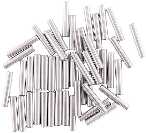 100 Pezzi 304 Pioli in Acciaio Inox Scaffali di Supporto 1Mm Perni di Spine per Mobili Armadio Scaffale Sostituzione Accessori,Length 4mm