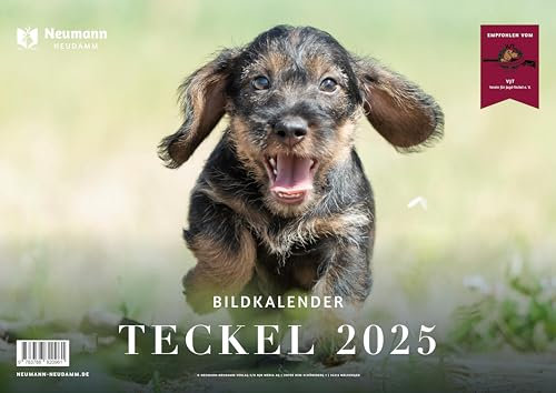 Teckel 2025: Themenkalender