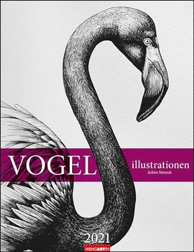Vogel Illustrationen Kalender 2021