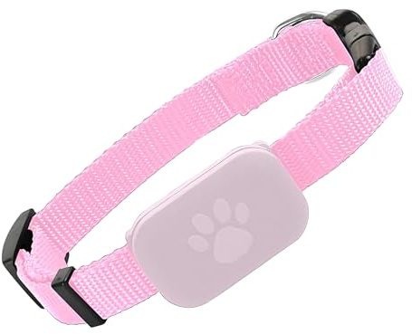 Spårningshalsband För - GPS-halsband För Kattungar - Långvarigt Batteri Och Lokaliseringsutrustning För Små, MedelOch