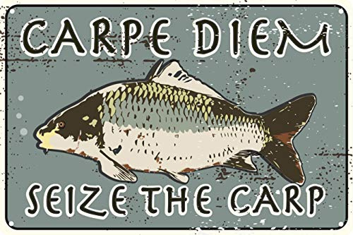 Toothsome Studios Carpe Diem Seize The Carp 30,5 x 20,3 cm Lustiges Blechschild Köder und Tackle Shop Man Cave, Garage, Angeln Dekor