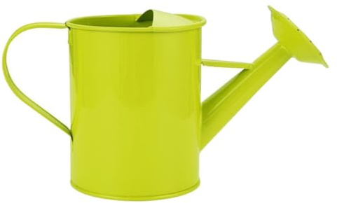 DECHOUS Watering Can for Ergonomic Handle Garden Flower Watering Pot for Indoor Outdoor Plants Practical Gardening Water Can in Green