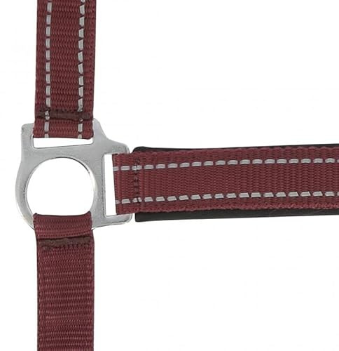 Symantec Halfter Norton Reflective