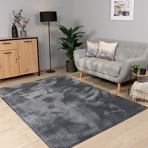 Paco Home Teppich Wohnzimmer Schlafzimmer Kurzflor Waschbar Einfarbiges Muster Flauschig Weich rutschfest Moderne Deko, Grösse:160 cm Rund, Farbe:Anthrazit