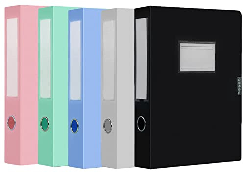 5 Stück A4 Aktenboxen Ringzug Premium Sammelbox mit Rückenschild Aufbewahrungsbox mit 55mm Breit Rücken Archivbox farbig sortiert Dokumentenbox aus Kunststoff für Büro, Schule oder Archivraum