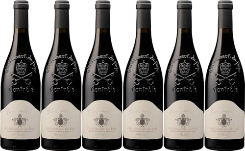 Domaine Tour Saint Michel Feminessance Châteauneuf du Pape AOP 2022 Trocken (6 x 0.75 l)