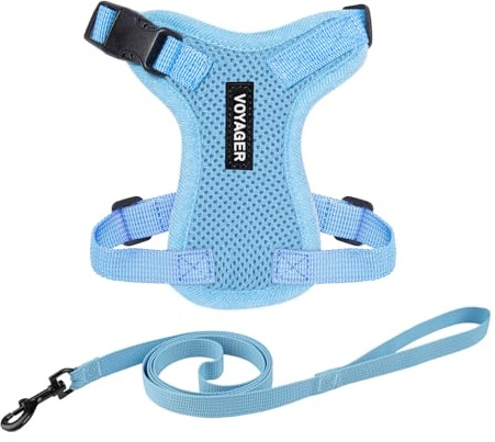 Voyager Step-in Lock Katzengeschirr und reflektierende Katzenleine mit Neoprengriff by Best Pet Supplies - Unterstützt kleine, mittelgroße und große Katzenrassen, Babyblau, size XXXS - 1,5 m