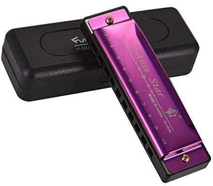 YIWENG Key of C Diatonische Mundharmonika Mouthorgan mit ABS Reeds Spiegelfläche Design 10 Löcher Blues Mundharmonika Ideal für Anfänger Professionelle Schüler Kid Purple,Mundharmonikas