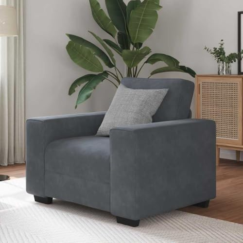 Ziaphsol mörkgrå fåtölj 60 cm, sammet, med robust plywoodram, bekväm relaxsoffa för vardagsrum, sovrum, max. 110 kg lastkapacitet