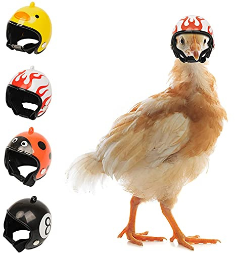 DolceTiger Huhn Helm Hühnerhelm Lustige Huhn Sturzhelm Haustier Hühnerhelm, Kleine Pet Safety Helme Um Den Kopf Von Hühnern Und Enten Zu Schützen, Haustierhelm Für Hühner, Enten Und Anderes Geflügel