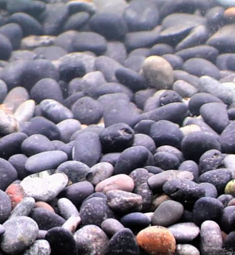 Silbermann Dark Gravel, dunkler Aquarienkies für Meer- und Süßwasser, 5-8mm Körnung, 10kg