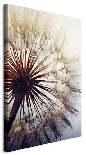 murando - Akustikbild 60x90 cm Bilder mit Akustikschaumstoff Hochleistungsschallabsorber Schallschutz Leinwandbild XXL 1 tlg Wandbild b-B-0260-b-b