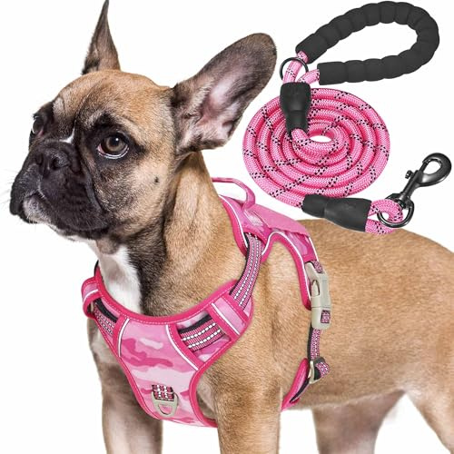 Haapaw Heavy Duty Taktisches Hundegeschirr für mittelgroße Hunde, kein Zug Verstellbares Haustiergeschirr Reflektierendes Service Training Einfache Steuerung Haustierweste Militär Arbeiten
