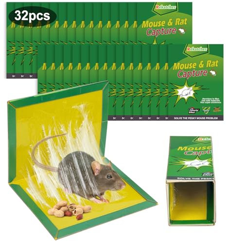 Rekatcher Trappole per Topi Interno 32 Pezzi Trappola per Topi Professionale Trappola Ratti