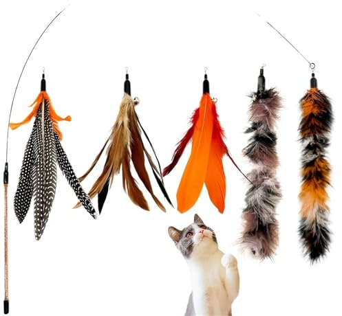 QWWQYDY Katzenangel 6 Stück Ersatzfedern for Katzenspielzeug, natürliche Vogelfedern, for Wohnungskatzen