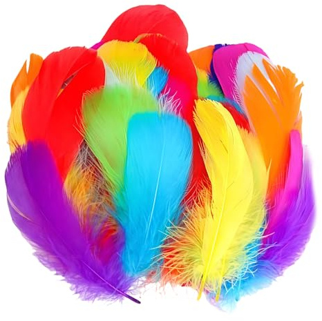 SSKHE Feather for Crafts, 300 Pcs Coloured Feathers Natural Goose Feathers for DIY Crafts Dream Catcher Earrings Headdress Feather Flowers Wedding Party Holiday Decoration