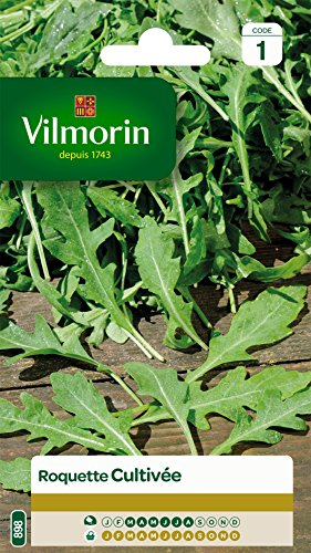 Vilmorin 3910741 Roquette cultivée Vert 9 x 0.5 x 16 cm