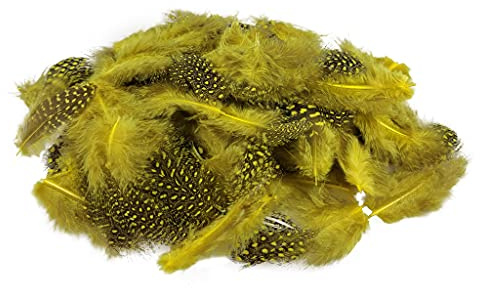 Netuno 150 Stück Perlhuhn Federn Gelb 6g gepunkt zum DIY Basteln Dekoration für Ostern Weihnachten Figuren Dekofigur Karneval