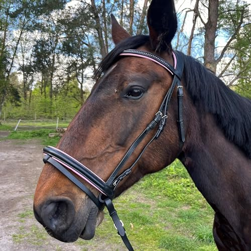 Brama West Ledertrense Pferd Sparkle - englisch kombiniert - Reithalfter mit Antislip Zügel und Strasssteinen - Rosa, Gr. Full
