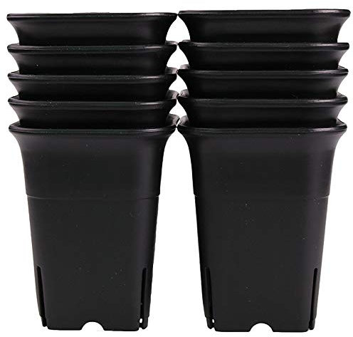 TORR 12PCS-Pack Negro Square Plastic Maceta de Plantas Suculentas para Plantas Flores Cactus, Etc., Negro Nursery Flower Pot