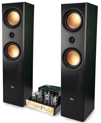 Evidence Acoustics Paire d'enceintes HiFi/Home-Cinéma EA800-PG - 2x500W PMPO, Amplificateur à Tube, EA-50TUBE-BT stéréo Vintage