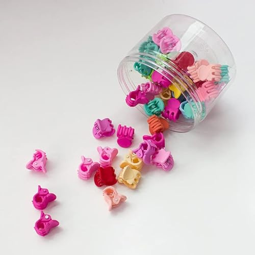 XINGNIAO 50 STÜCKE Mini-Haarklammern für Frauen Mädchen, kleine Haarklammern Kleine Krallenklammern Winzige Acryl-Klauenklammern mit transparenter Box (bunt)