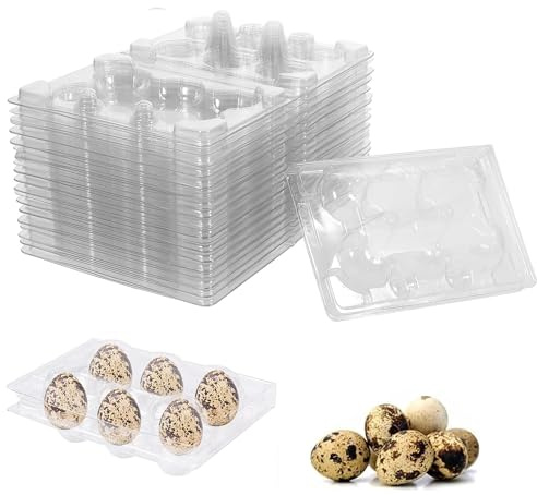 QIUMING® Wachtelei Karton Wachteleierschachteln Mit Deckel Wachtelei aus Kunststoff Kunststoff Eierkarton Transparente für Kleine Eier Wachtelfasan Für den Kühlschrank (transparent, 6 Gitter )